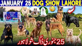 Lahore Casic All Breed Dog Show in Model Town Lahore 2026 | BEST DOG SHOW IN PAKISTAN