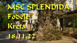 MSC Splendida -  Fodele Kreta