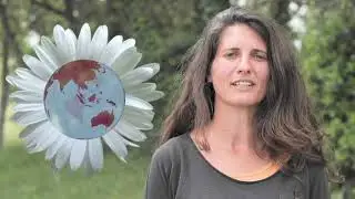 Teaser MOOC Botanique 2 | Les plantes et leurs usages