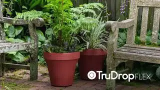 TruDrop Flex Introduction