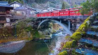 Relaxing Dawn Walk along River and Forests | Kyoto, Japan 4K Nature Ambience | ASMR