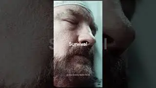 Day 66 ✦ Bobby Singer | After Dark (Edit) #bobbysinger #winchester #afterdarkedit #supernatural