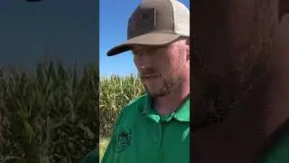 International Harvester #trending #realestate #realtor #realestateinvesting #farming #farmer