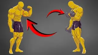 5 MELHORES EXERCÍCIOS QUE VÃO FAZER SEUS BÍCEPS CRESCER