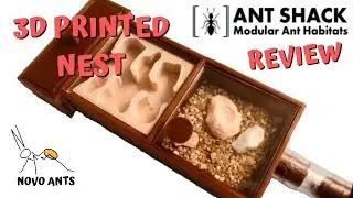 Formica Ant Farm Kit 3D Printed Nest - Unboxing & Review - Ant Shack - Novo Ants