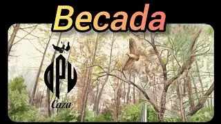 🟠Becada 21/12/25