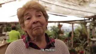 CCA 2018: Micrometrajes documentales Renca Orgullosa- parte 5, Viveros