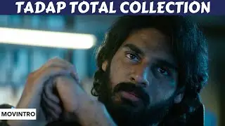 Tadap | Box Office Collection | Tara Sutaria, Ahan Shetty | Movintro |
