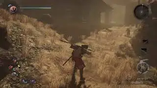 Funny  Nioh glitch