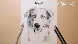 Pet Portrait | Marker Drawing of a Sweet Dog - Max | Speed Draw
