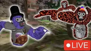 JUKE THE VIEWERS 🤯 Gorilla Tag LIVE #gtag #gorillatag #livestream @_GorillaTagVR