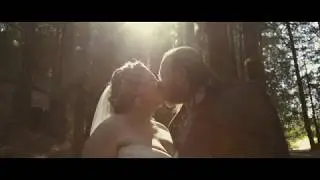 A Magical wedding in the middle of the Redwood Forest