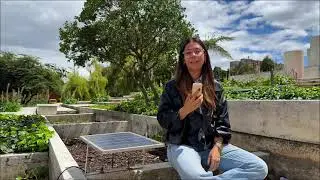 Laura Flechas Mejia Innovation starts with people Colombia