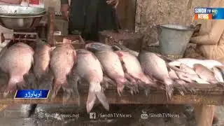 Ubauro Price Hike Aslive - Sindh TV News