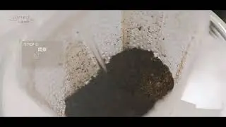 【COFFEST大隱珈琲】