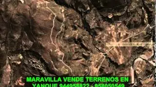 CONOCIENDO YANQUE