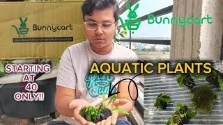 Unboxing aquatic plants from Bunnycart.com | New plug and play catagory plants | order now !!!!!