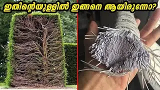 നിങ്ങളെ അമ്പരപ്പിക്കുന്ന കാഴ്ചകൾ.... ഇത് വരെ ഇങ്ങനത്തെ ചിത്രങ്ങൾ നിങ്ങൾ കണ്ടിട്ടുണ്ടാവില്ല