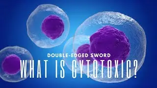 What is Cytotoxic? | Understanding Cell Toxicity.