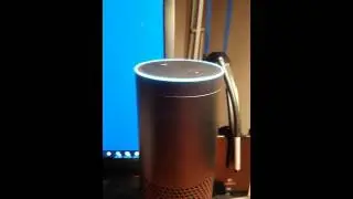 Asking Amazon Echo for my Fitbit data - 25.03.2016
