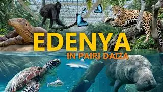 Die gr&ouml;&szlig;te Tropenhalle der Welt &ndash; und trotzdem zwiesp&auml;ltig? | Edenya Review