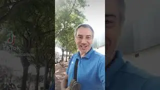 Educaci&oacute;n financiera express an&aacute;lisis fundamental VS an&aacute;lisis chartista