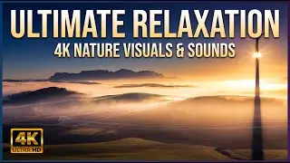 4K Aerial Sunrise Over the Clouds 🌅 Slow Drone Footage with Relaxing Music | Deep Calm & Focus