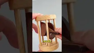 Apenas 1% das pessoas conseguem salvar essa coruja sem quebrar a gaiola! Voc&ecirc; consegue?