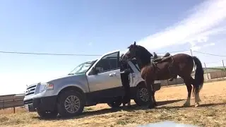 احمد الحقيل / ركوب الخيل - الركوب العربي
