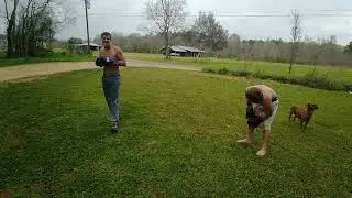Boxing Match .....just playing around...#fights#boxing#gooddogs#backyardfighting