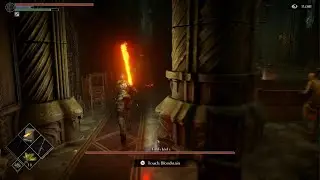 Demon's Souls beating fools idol