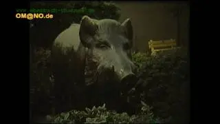 750 Jahre Eberbach (Film von Theo Kinzler) 1977