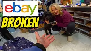 Ebay Reseller Down But Not Out