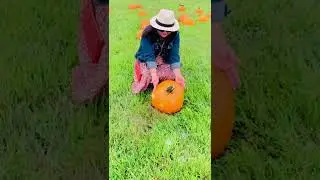 🎃 GIANT ORANGE PUMPKIN 🎃 #shorts #fall2022 #fallseason #pumpkin