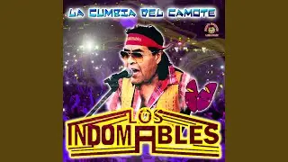 Necesito Una Compañera