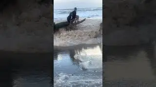 When you go to the beach after a lot of rain