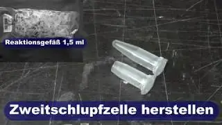 Weisel zusetzen Zweitschlupfzelle herstellen.