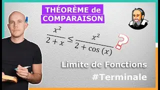 Limite Infinie : Théorème de  COMPARAISON - Exercice Corrigé - Terminale