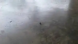 Нижний брейк данс