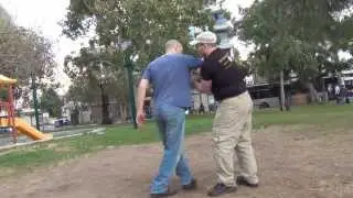 vigilance and tranquility spine awareness and natural movement