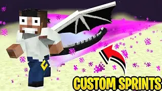 Minecraft but there are Custom Sprints || Ender Dragon Wings || Minecraft gameplay Tamil