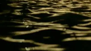ELVIS COSTELLO - THE OTHER SIDE OF SUMMER