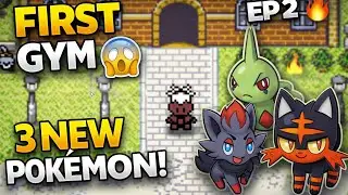 Pokemon Lazarus EP 2 😱 | First Gym Battle 🔥 | Zorua, Larvitar & Litten Joined!