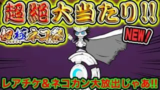 出たわね！！！！！！！！！！！！！！！！！！！！！！！！！！！！！！！