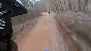 Main Loop