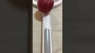 Apple's New Product | Darla's Fun Toys