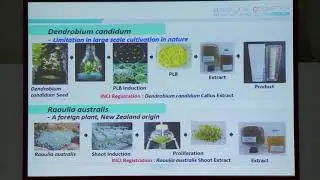 in-cosmetics Korea 2017 - Eco-friendly and biotechnology-based ingredient trends in Korea