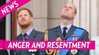 Prince Harry and Prince William Still Have &lsquo;Anger and Resentment&rsquo; Toward Each Other 1