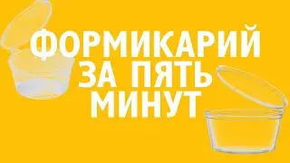 #КРАФТИМ  КАК СДЕЛАТЬ МУРАВЬИНУЮ ФЕРМУ ЗА 5 МИНУТ ! ДЁШЕВО|БЫСТРО|ЛЕГКО!