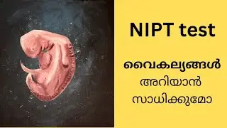 NIPT test- to detect defects in the baby during pregnancy.